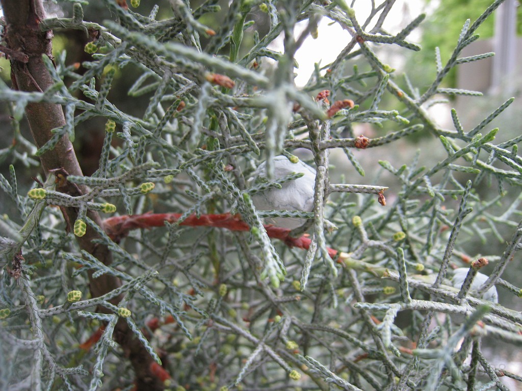 Wash DC 2009 3195.jpg - A 4th of July trip to Washington DC in 2009 to see the museums, memorials and fireworks.